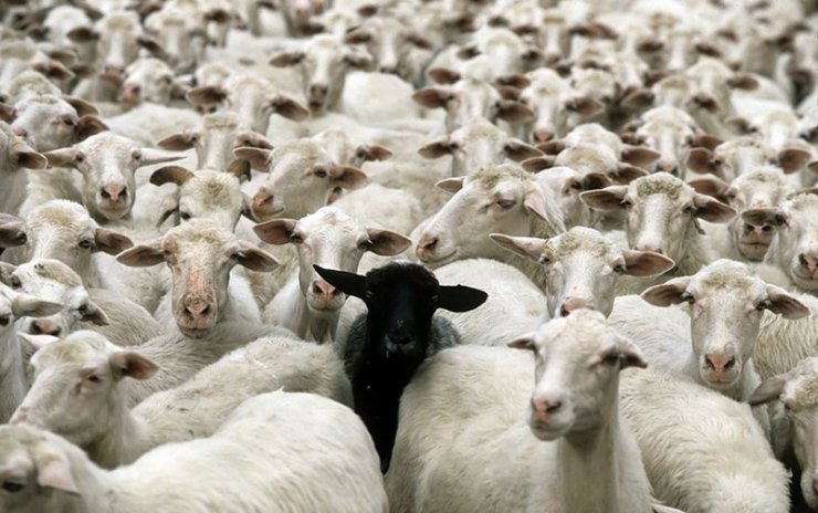 Vacciniamoci tutti contro l’influenza