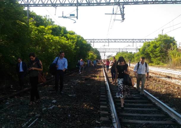 Lombardia: treni sempre puntuali in mezzo alla campagna