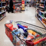 reddito-alimentare-1.jpg