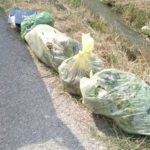 rifiuti-sfalci-bozzolo-e1627309329599