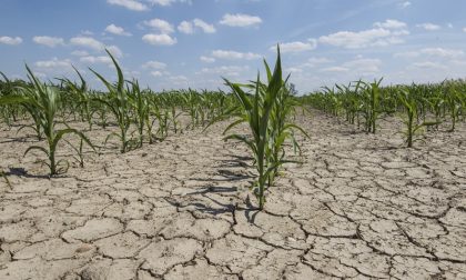 Il cambio clima costa