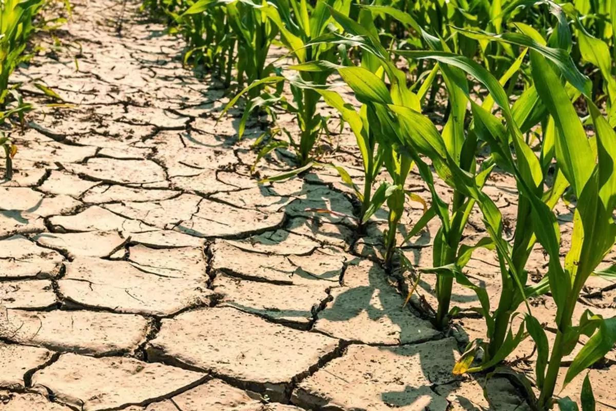 Siccità: copiamo l’Africa